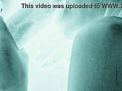 Vintage Erotic Art Featuring Antique Hairy Retro Explorations In Detailed Scenes