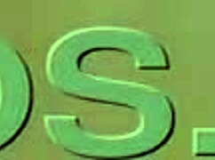 Alineflavio's latest update from August 8, 2024