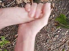 Forest Outdoor Exploration