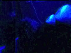 hidden camera catches girlfriend cheating with blowjob