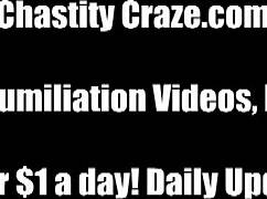 you surrender cock and balls to me