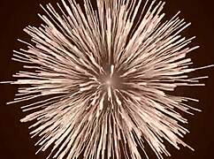 nicoly confesses neighbor sucked her pussy early