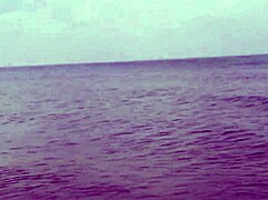 Hollis Ireland showcases her micro bikini in high definition close up