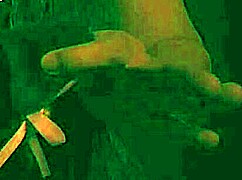 Astarioth Dominates In Joi Pet Play Femdom Pov, Calling You Her Pet