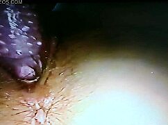 blindfolded wife gets fucked with rabbit toy