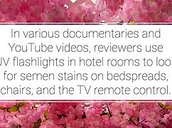 our experiment with ultraviolet light in the bedroom.