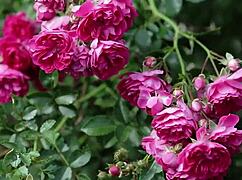 My College Friend and I Shared a Moment