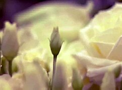 My College Friend and I Shared a Moment