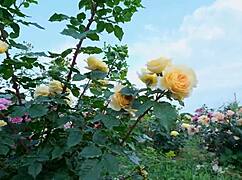 My College Friend and I Shared a Moment