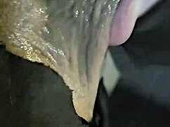 goth girl gives sensual blowjob swallows cum till gagging