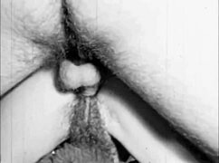 dark lantern entertainment presents the sins of our step grandmothers from my secret life the erotic confessions of a victorian english gentleman