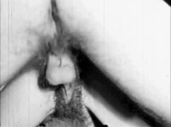 dark lantern entertainment presents the sins of our step grandmothers from my secret life the erotic confessions of a victorian english gentleman