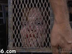 Sadomasochism Queens Bound And Fucked Rough