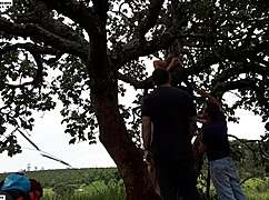 i fucked the blonde and brunette on a tree in the street