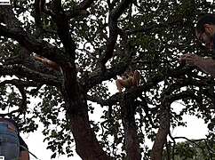 i fucked the blonde and brunette on a tree in the street