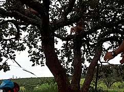 i fucked the blonde and brunette on a tree in the street